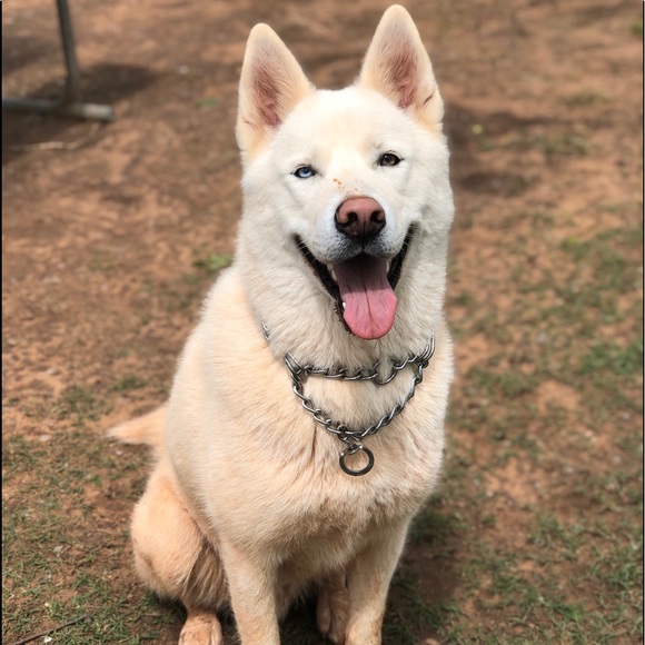 COPY - 5โญ๏ธ fast shipping Posh ambassador Raytchell - Picture 10 of 15